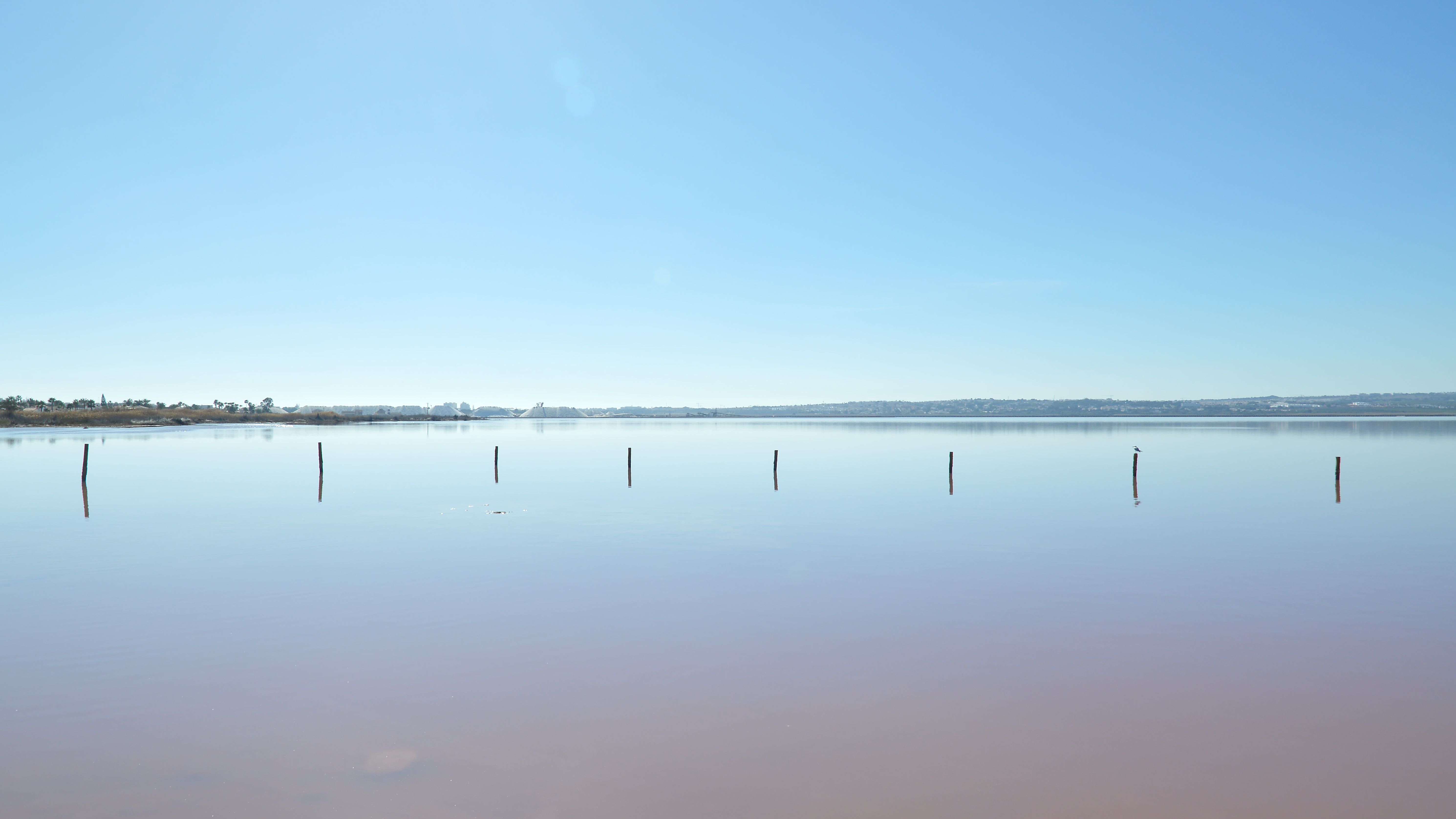 Torrevieja’s salt lagoons: how to enjoy them without damaging what makes them special